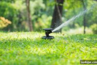 Mr. Lawn Transforms Yards with Premium Lawn Installation