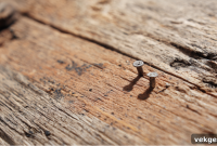 Safely Removing Staples From Wood