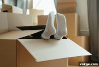 Transforming Your New House Into a Home