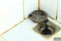 5 Ways Your Sewer Drains Are Telling You They Need a Deep Clean