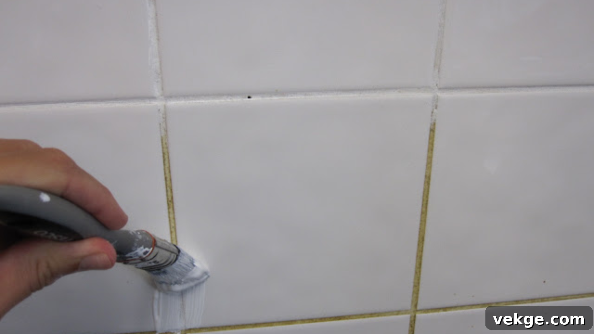 featured 141265