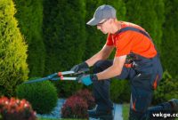 Effortless Garden Transformation Your Complete Clearance Handbook