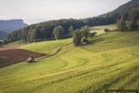 Busting 5 Biofilm Myths in Agriculture
