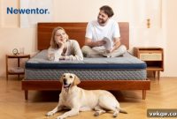 End Back Pain Pick the Right Mattress