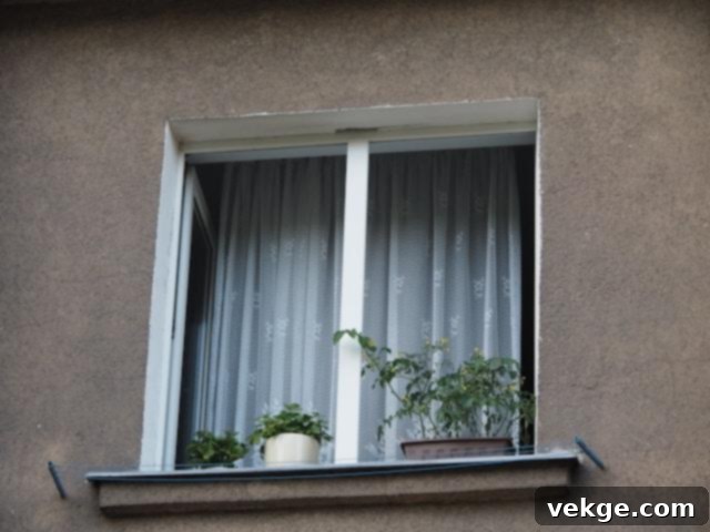 featured 143747
