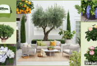 Chic Olive Tree Outdoor Retreat