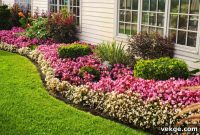 Creative Landscape Edging Ideas to Boost Your Homes Curb Appeal