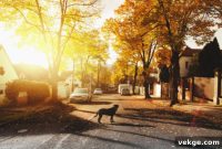 10 Must-Know Facts Before Moving To North Olmsted