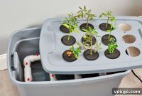 DIY Hydroponic Gardens: Grow Fresh at Home