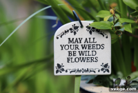 Cultivate Your Garden Style with Personalized Signs