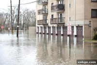 Shield Your Building from Water Damage