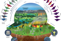 Cooperative Living: Embracing a Green Future