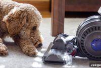 The Ultimate High-Efficiency Hair Vacuum for Pet Owners