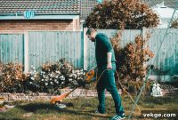 Guard Your Gaze: Essential Eye Safety for Gardeners