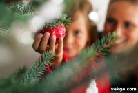 The Art of an Unforgettable Christmas