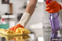 Professional Cleaners’ Top 5 Secrets