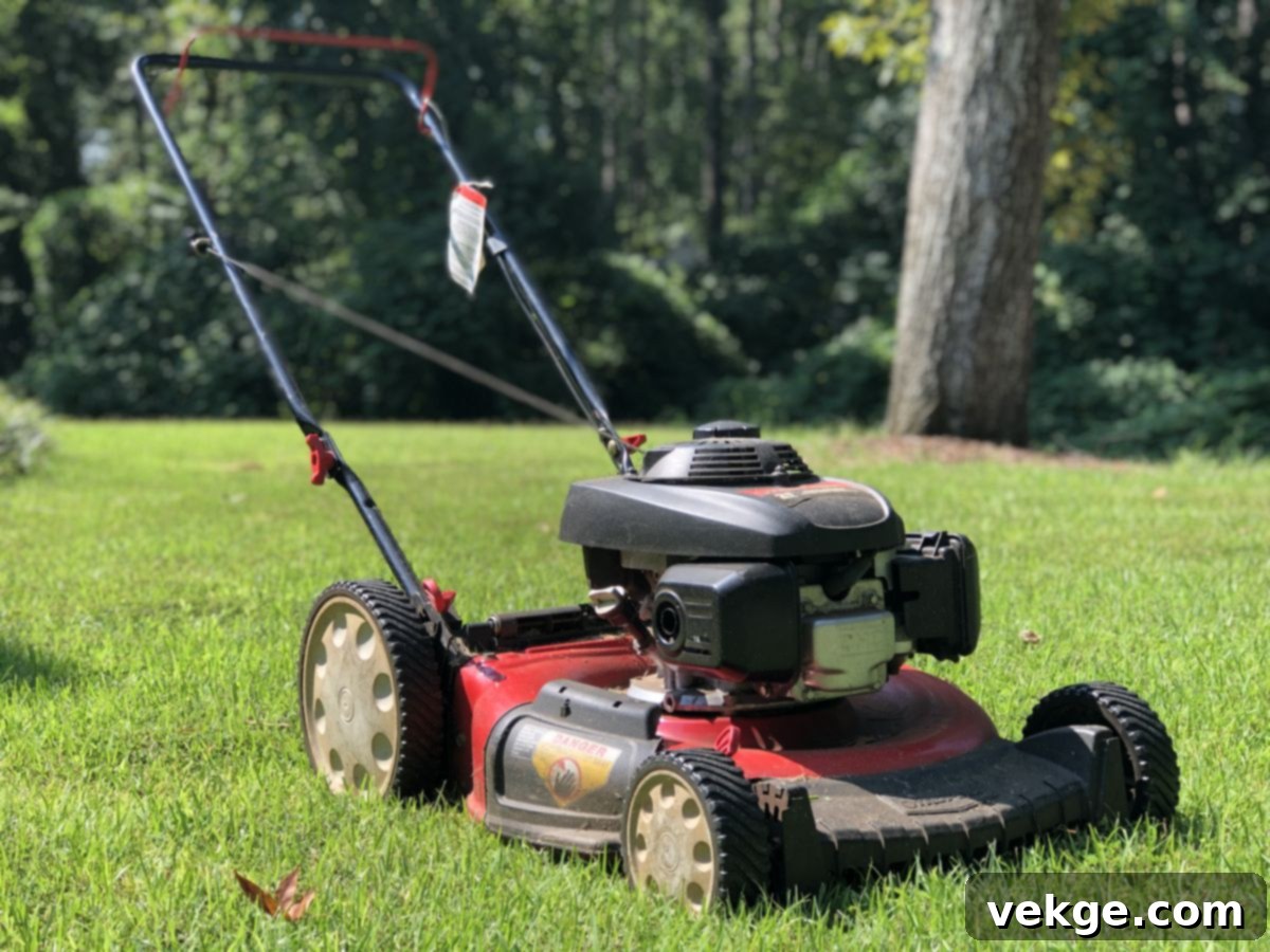 featured 96055