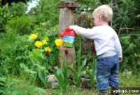 Create a Kid-Approved Outdoor Oasis
