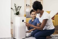 How to Spot If Your Home Needs an Air Purifier