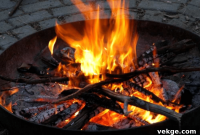 Mastering Fire Pit Fuels For The Perfect Outdoor Blaze
