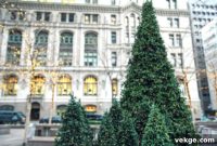 The Ancient Roots of the Christmas Tree