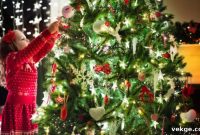 The Origin of the Christmas Tree Tradition