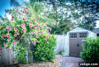 Shed Winterization: A Smart Move