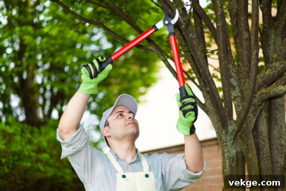 Trim Nearby Trees to Prevent Storm Damage