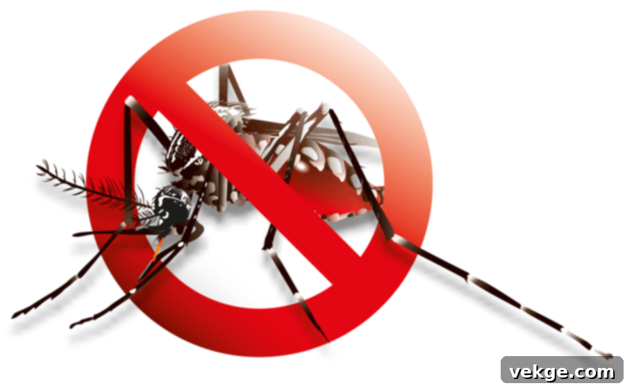 Mosquito control: The INZECTO solution - Research Outreach