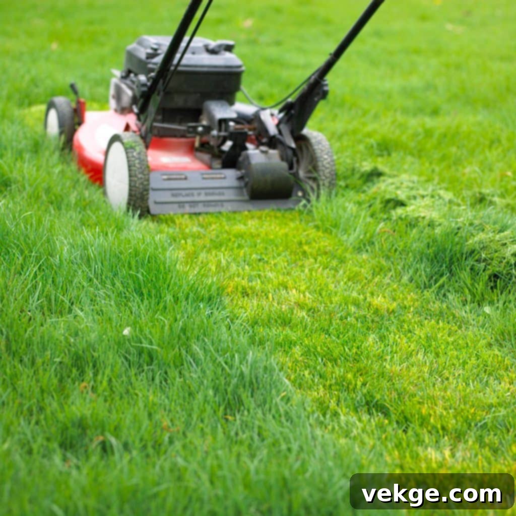 The Power of Proper Mowing
