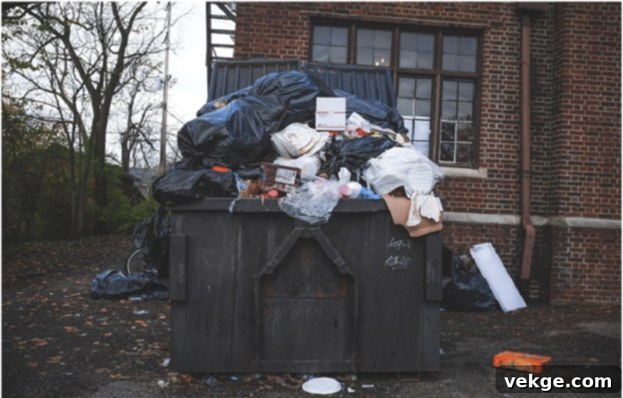 Professional rubbish removal team loading junk into a truck