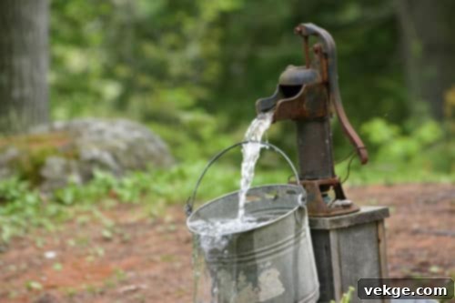 Assess Your Well and Water Needs