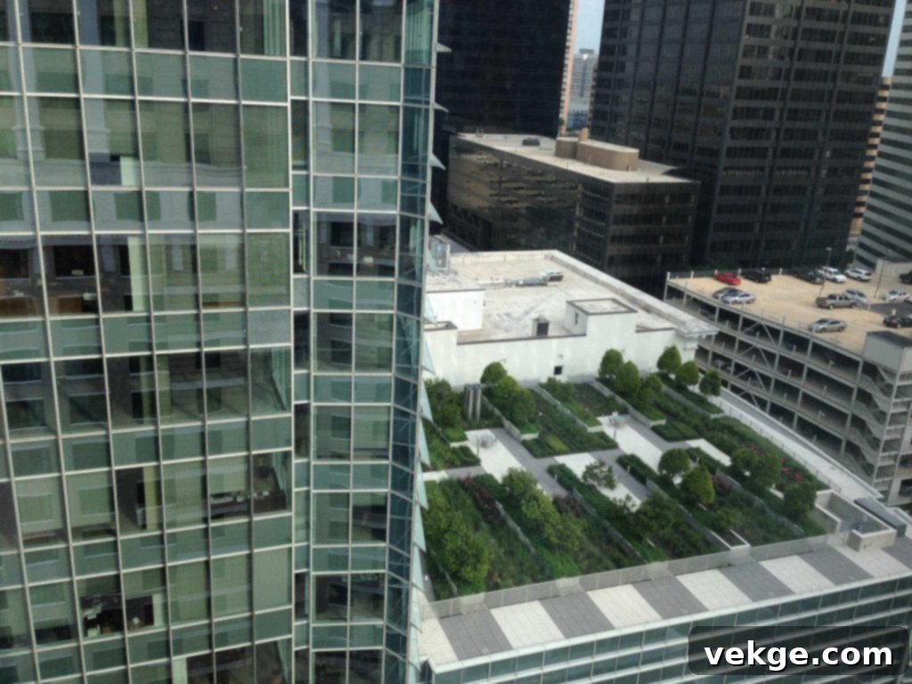 Green Building Initiatives