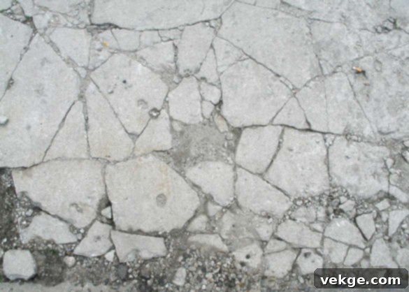 Repair Techniques for Damaged Concrete - Polyurethane foam injection for concrete lifting of a damaged floor