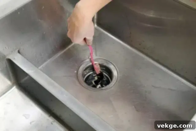 Show Some Love to Your Garbage Disposal: Proper use and cleaning tips for kitchen disposal.