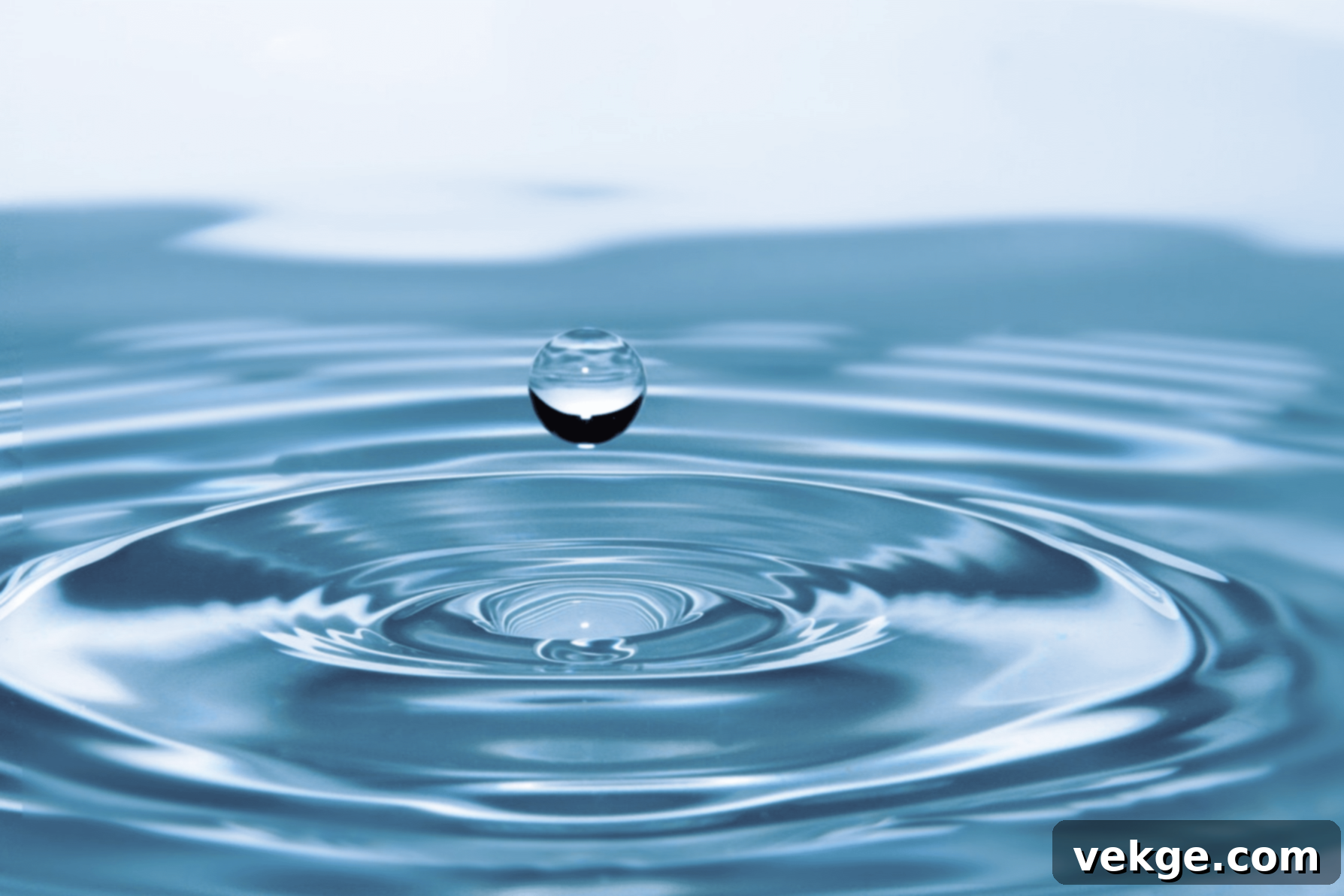 The Essence of Water Filtration in Sustainable Living