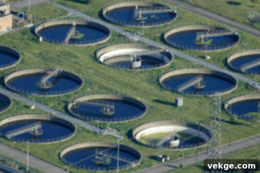 The Economic Benefits of Water Filtration