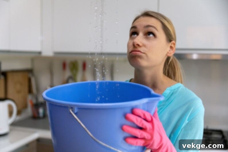 Plumbing Leak Immediate Steps 3 Professional Leak Management