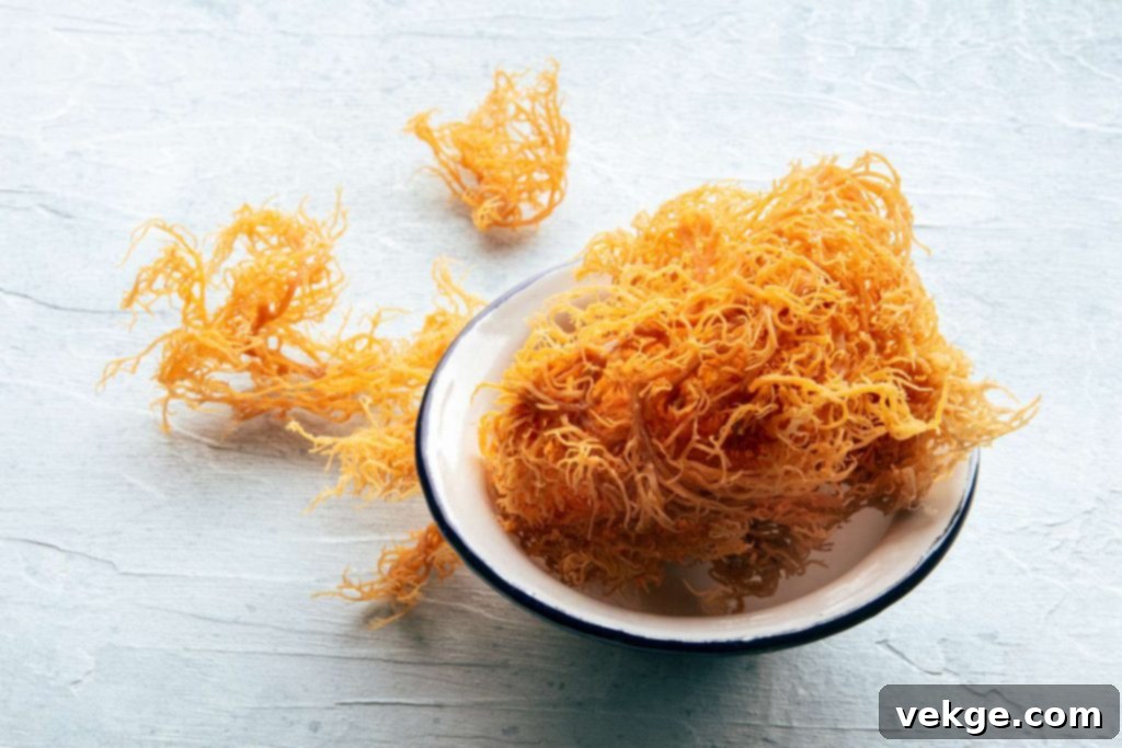 6 Incredible Health Benefits of Sea Moss For Vegans