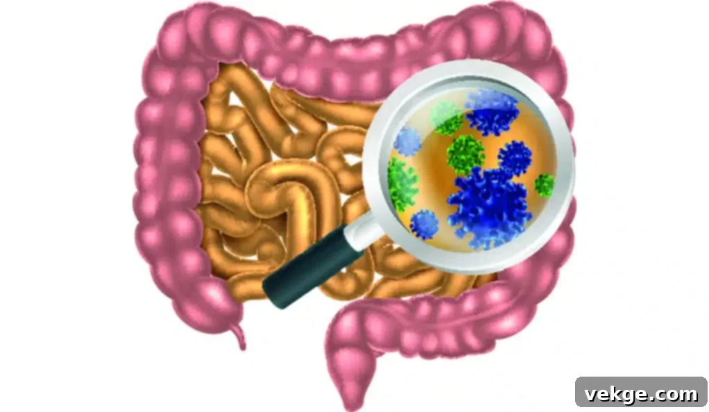 Microbiota & Digestion Support
