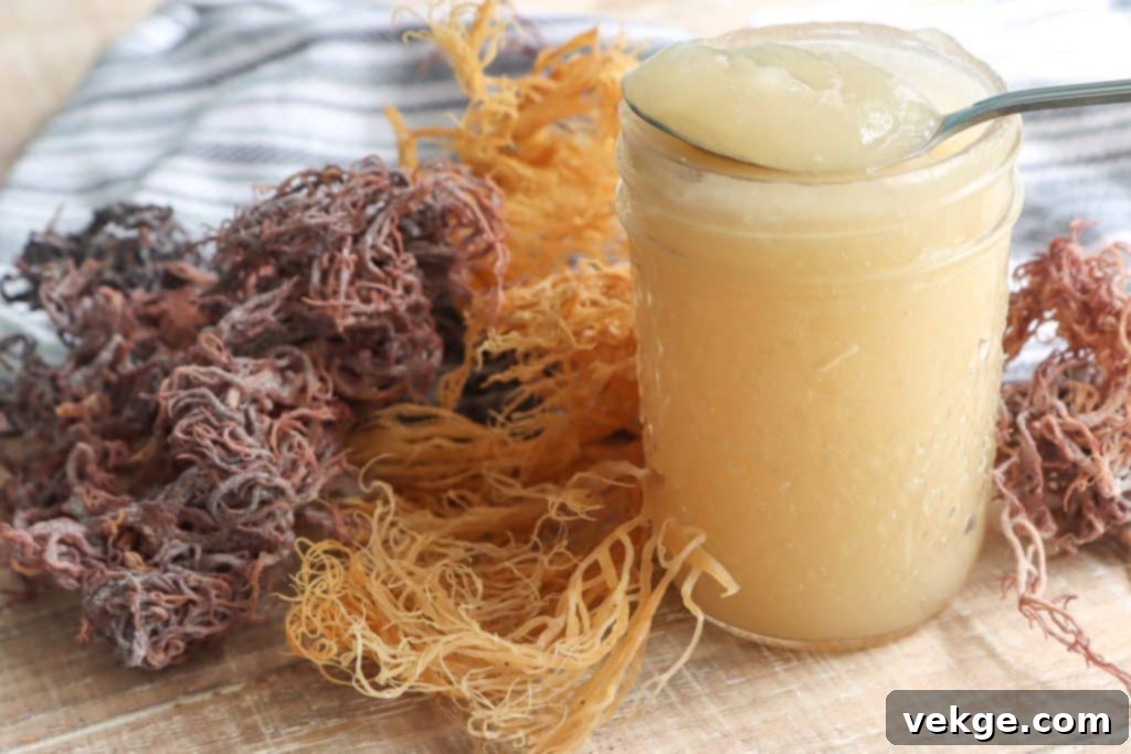 Cooking with Sea Moss: Ideas and Recipes