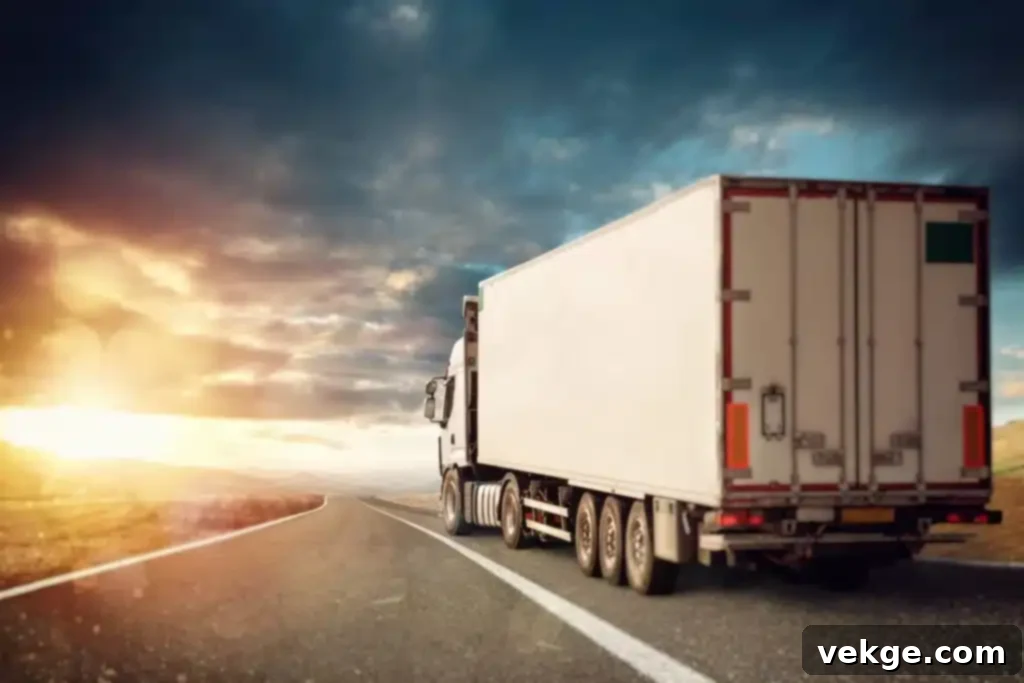 What to Look for in Long-Distance Moving Quotes?