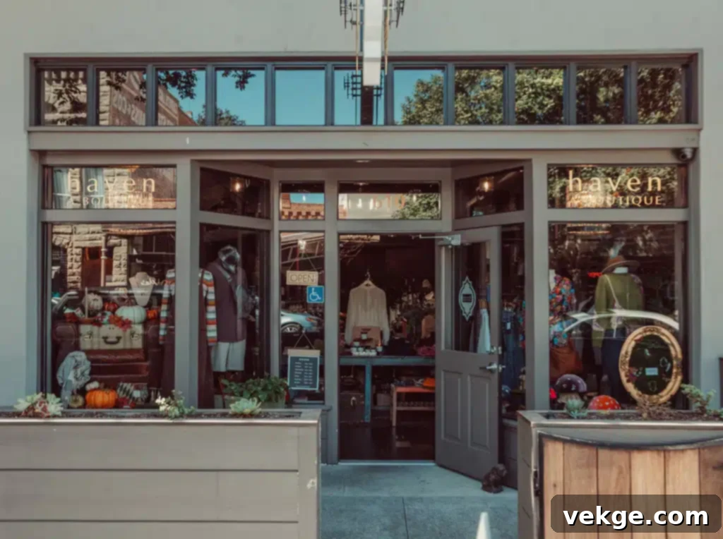 The Hollywood Haven: A Boutique Experience