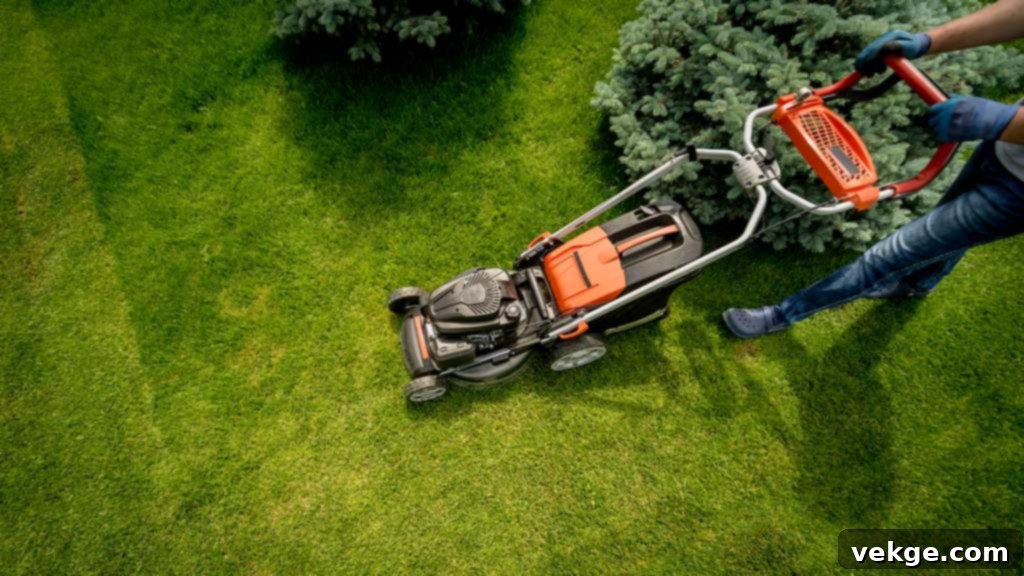 Several Tips For Low-Maintenance Lawn Care