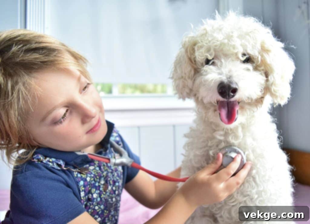 Ensuring Child and Pet Safety at Home