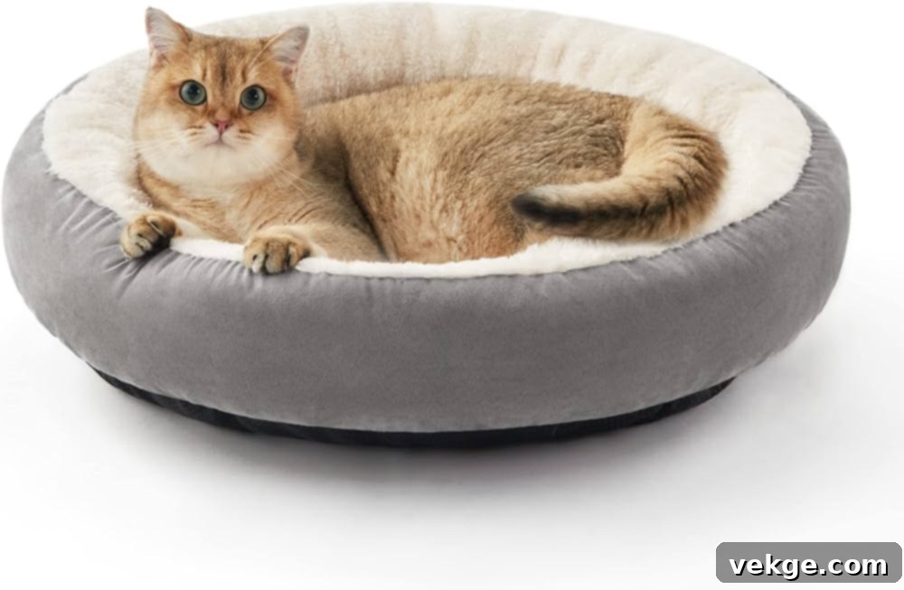 Comfortable Cat Beds for Feline Rest
