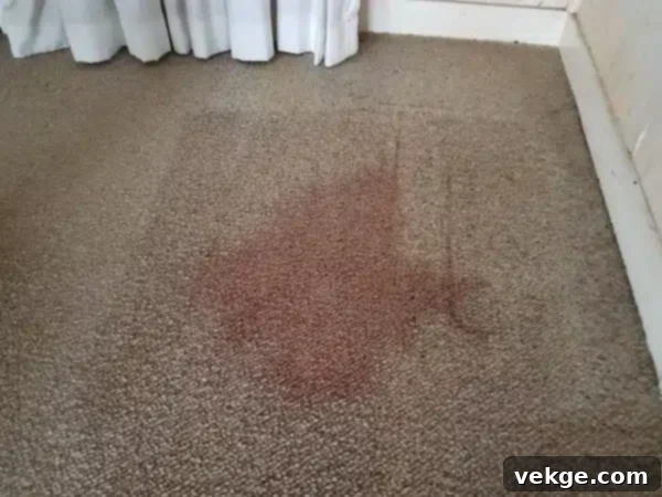 Addressing Specific Carpet Issues