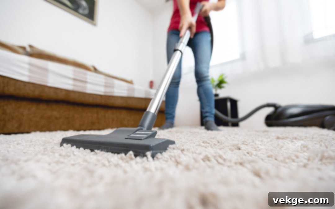 Seasonal Carpet Care
