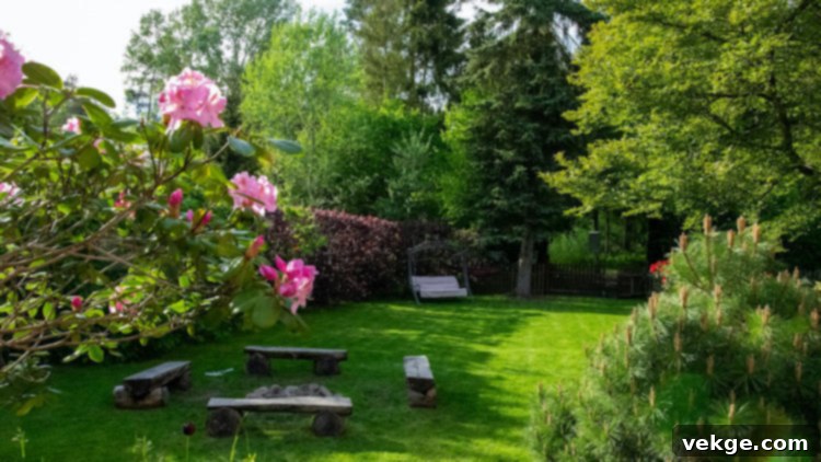 Improve Garden Space