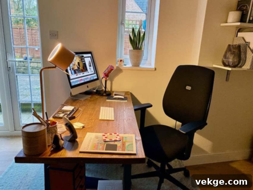 Home Office Essentials - Ergonomic Desk, Comfortable Office Chair, and Storage Solutions